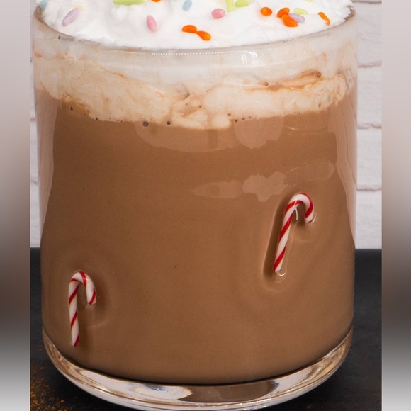 Candy Canes Icon Drinking Glass 16 Ounces Madison Home look for less collectible - Picture 2 of 4